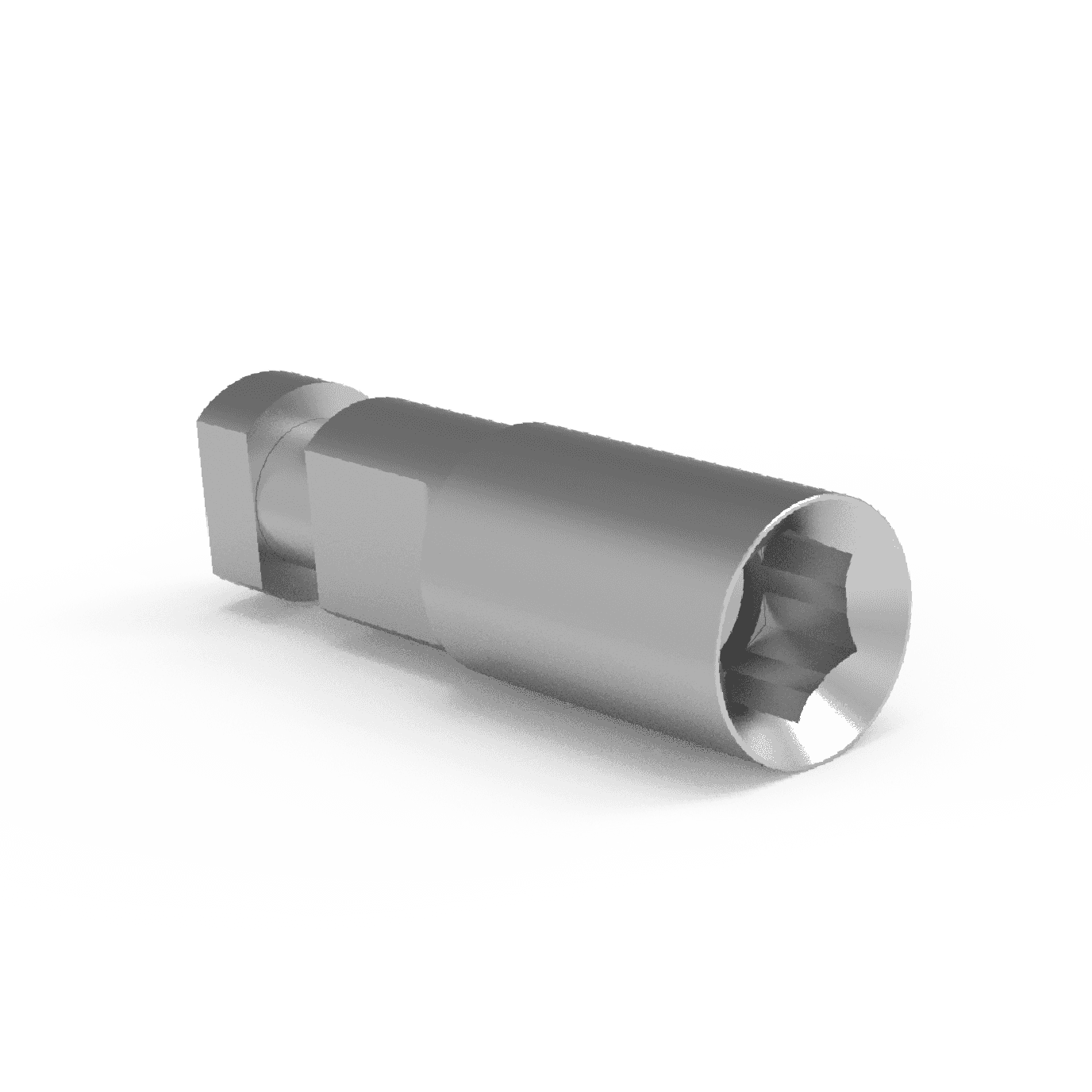 Implant Analogs