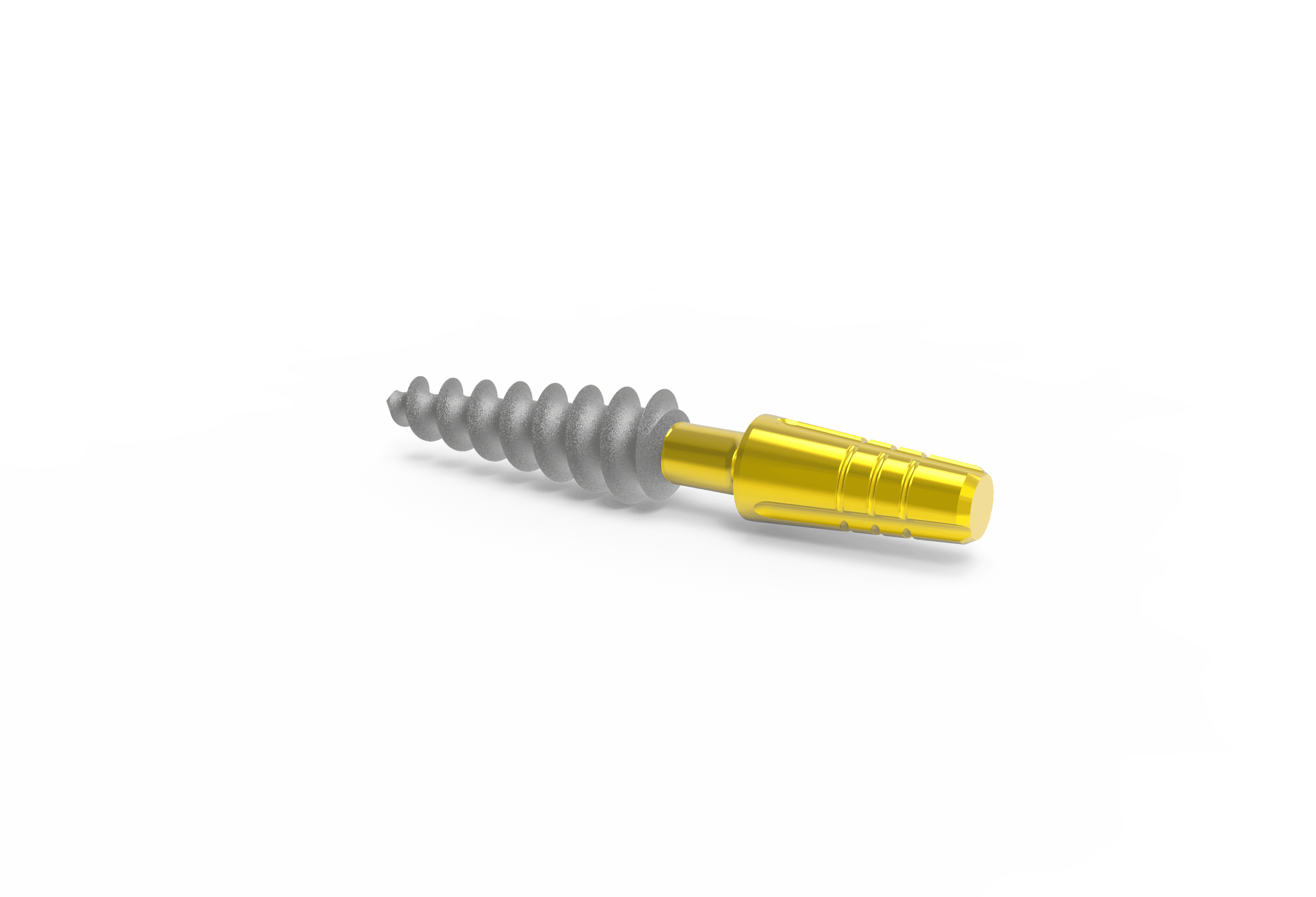 Bendable® One-Piece Implant Immediate Load (2)