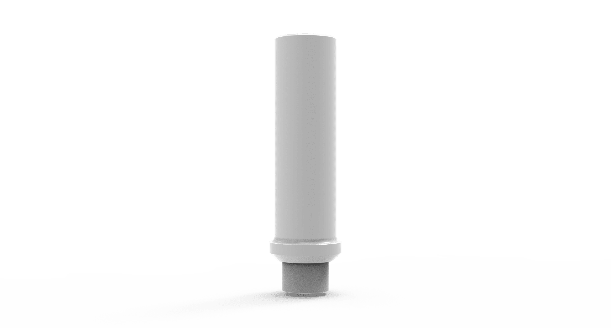 Castable Abutment + Screw (2)